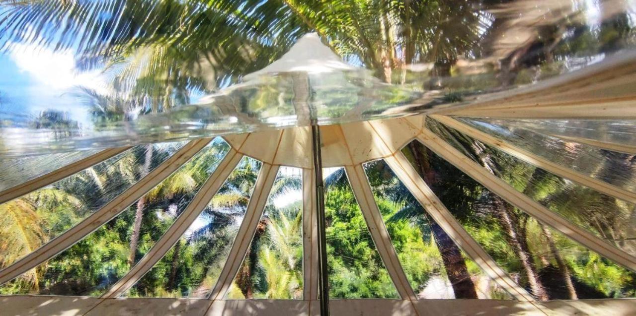 Firesky Glamping Ocam Ocam Beach New Busuanga Zewnętrze zdjęcie